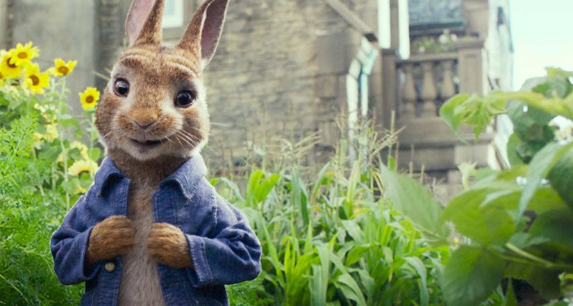 Peter Rabbit