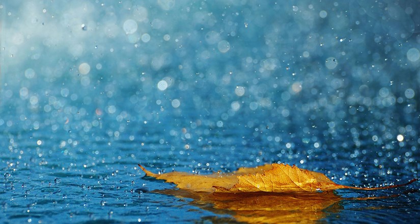 Rain Dance - A Poetry Show About Mental Health, Burnout and What Happens Next