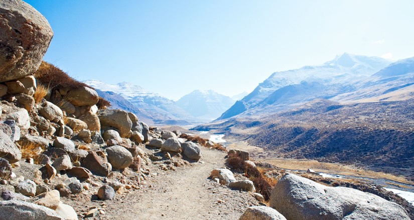 Tibetan Season