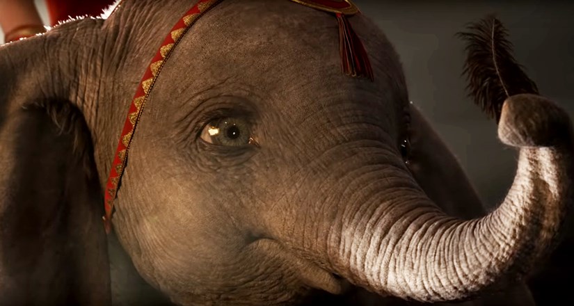 Dumbo