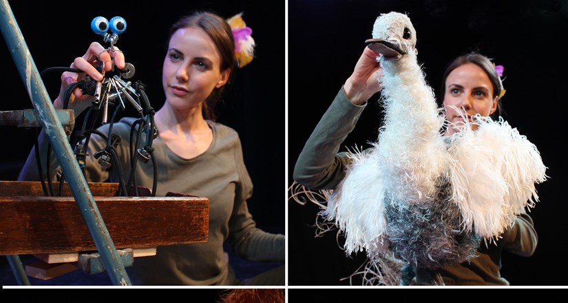 The Goose Who Flew