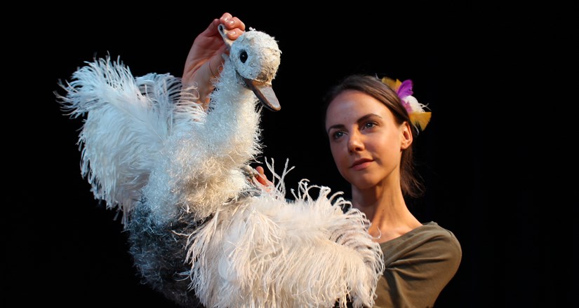 The Goose Who Flew