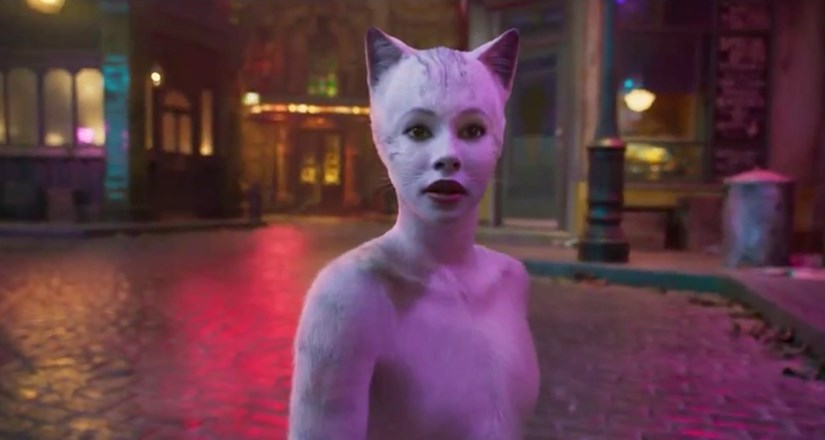 Cats