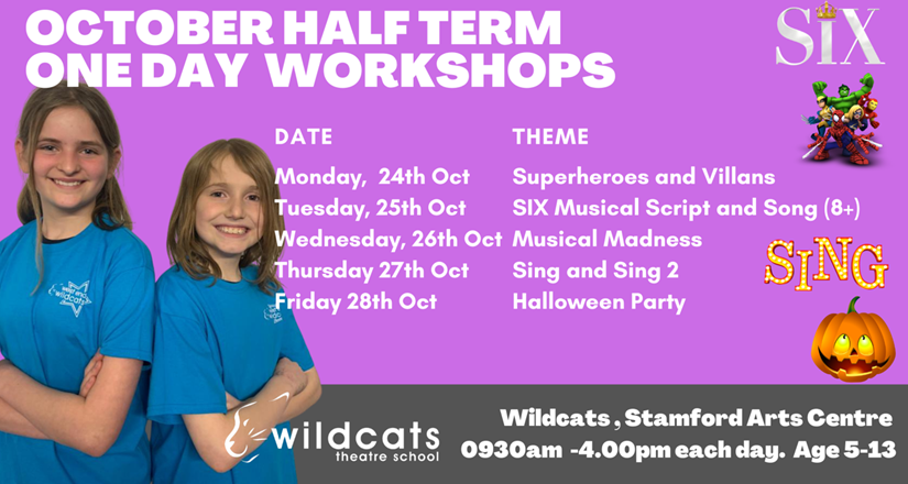 October Half Term Workshops with Wildcats