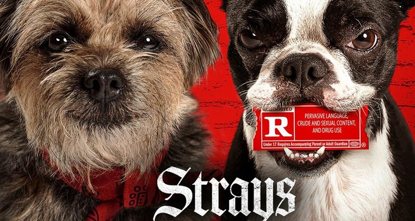 Strays