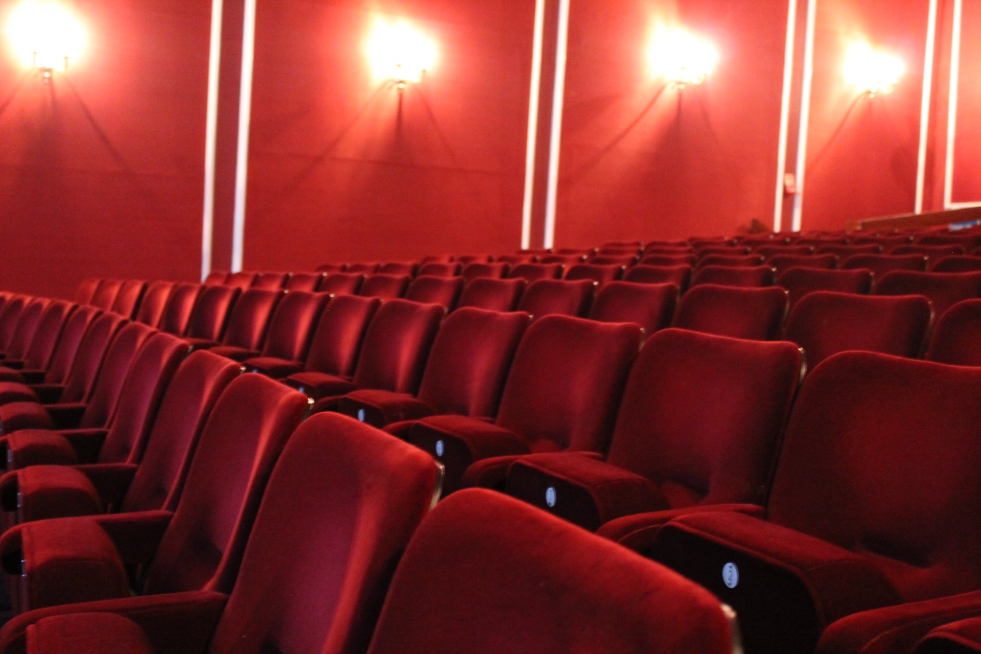 A Note From Our Cinema Programmers…