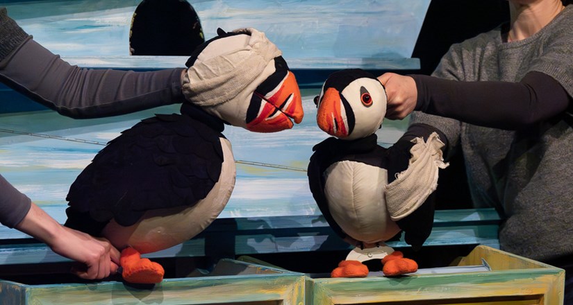 Puffling Percy
