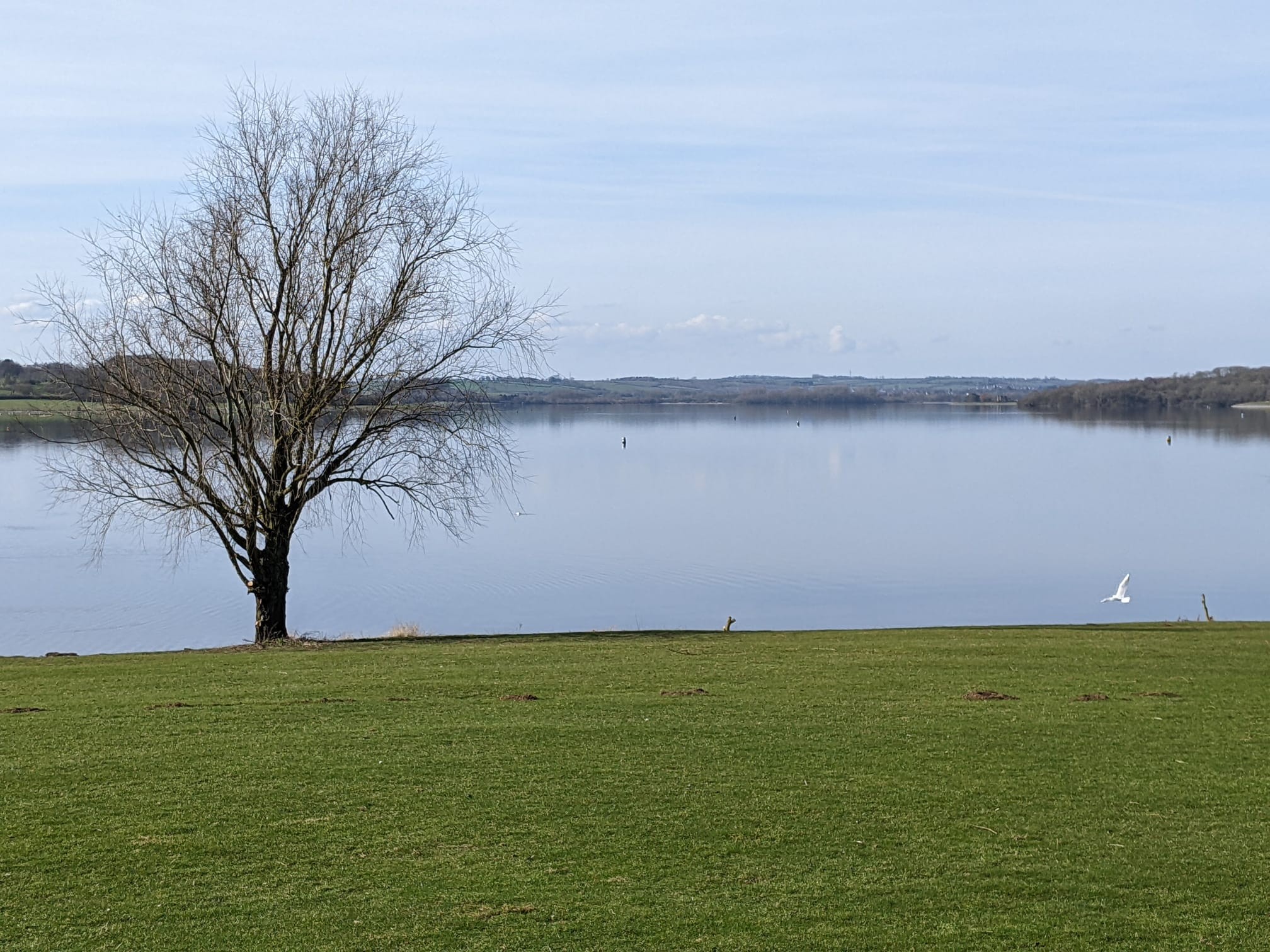 Mindfulness - How do you want to start 2026?