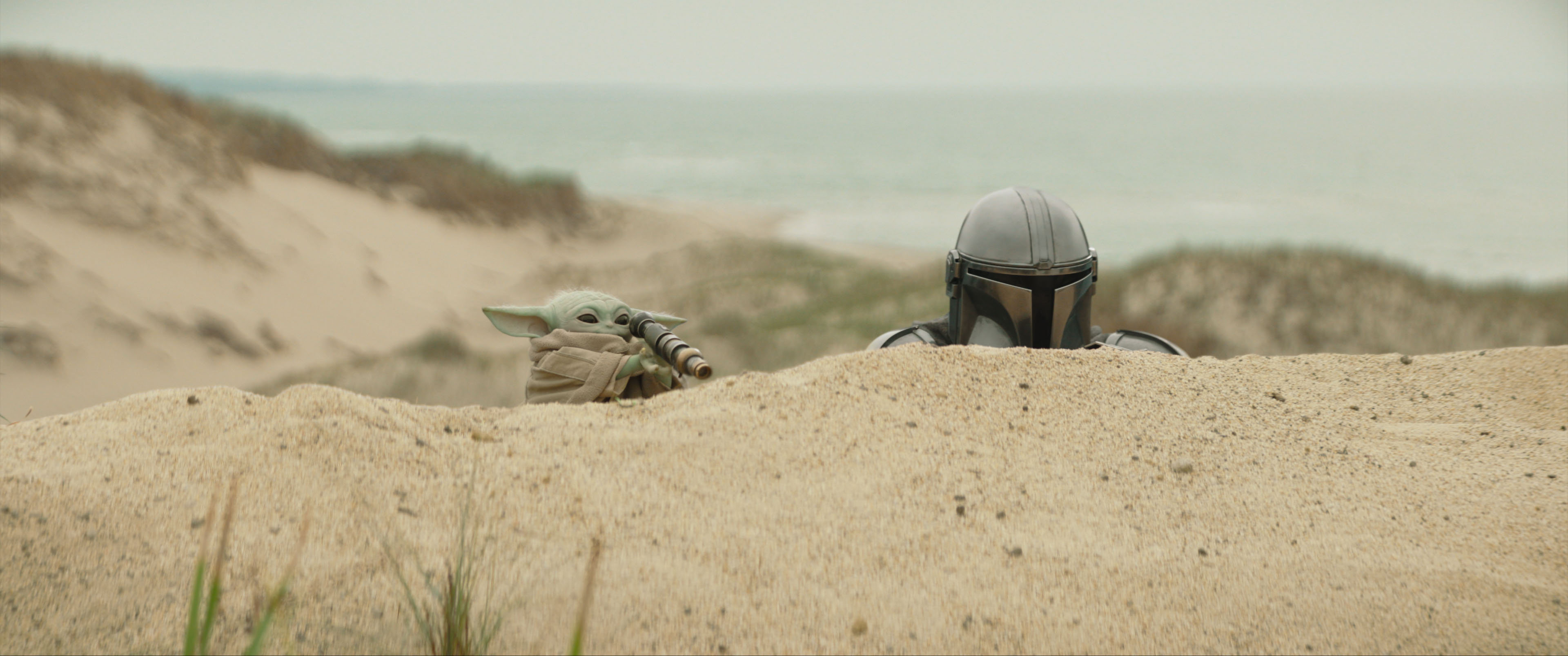 STAR WARS: THE MANDALORIAN AND GROGU