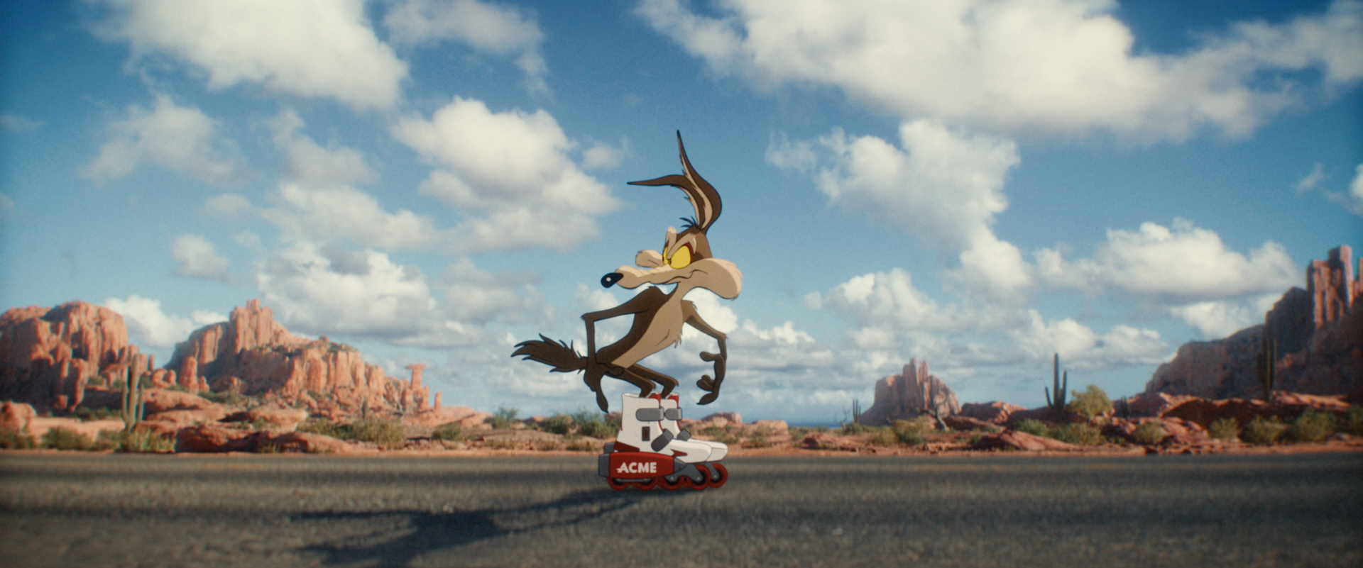 COYOTE VS ACME